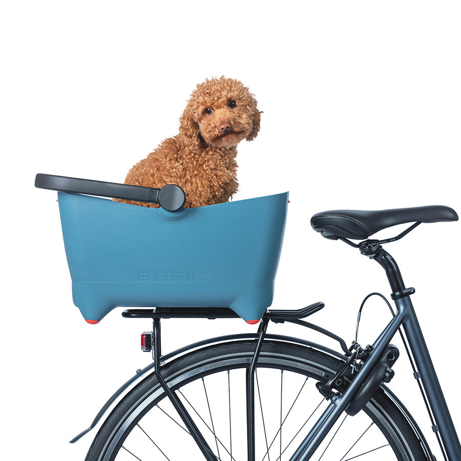 Basil, Buddy Dog MIK, Basket, Rear, Biscotti Brown