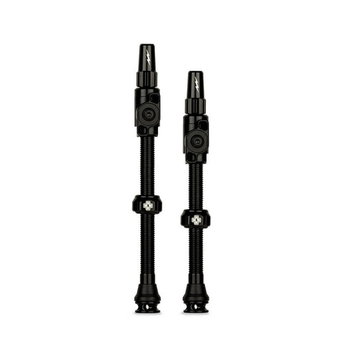 Big Bore Lite Bosch