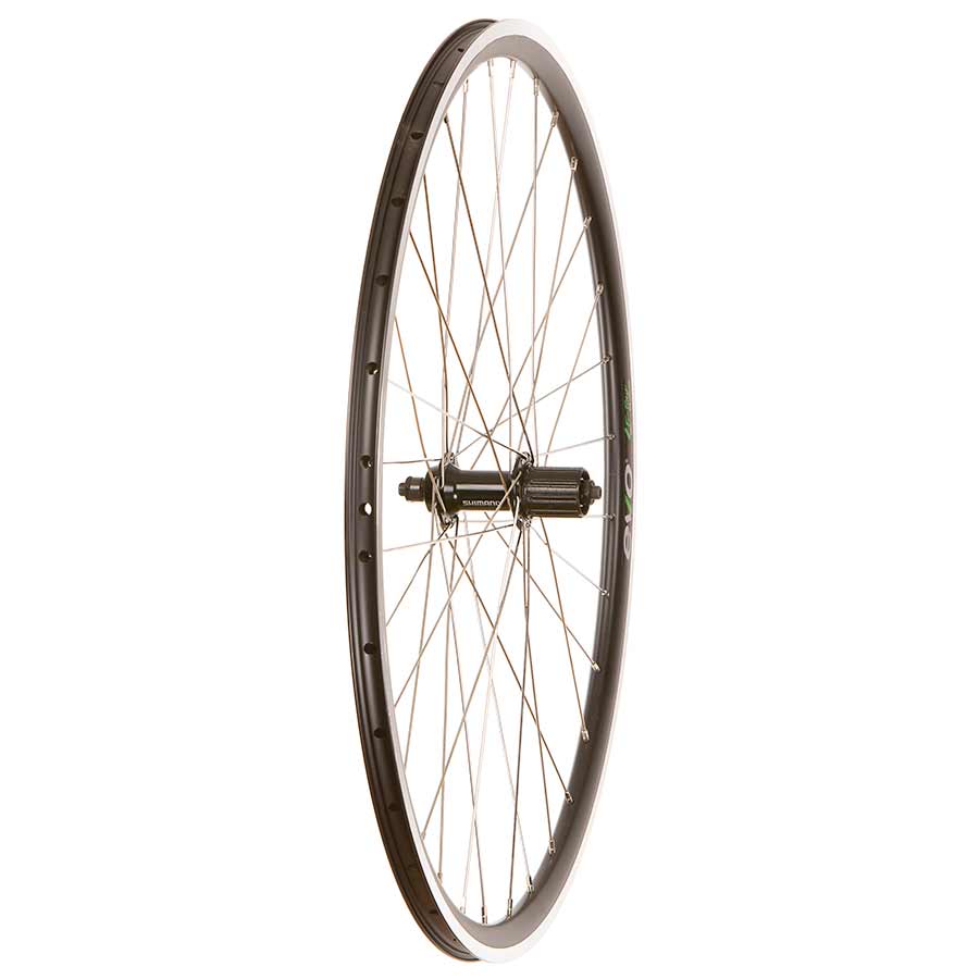 Evo Tour 16 Black/ Shimano Tiagra FH-RS400 Black / Wheel