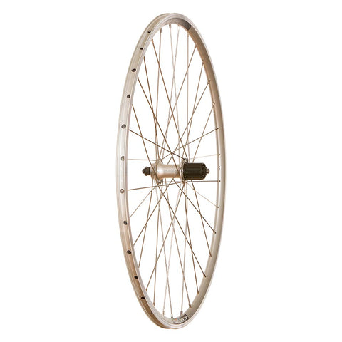 Alex DA22/ Shimano RS300 Argent
