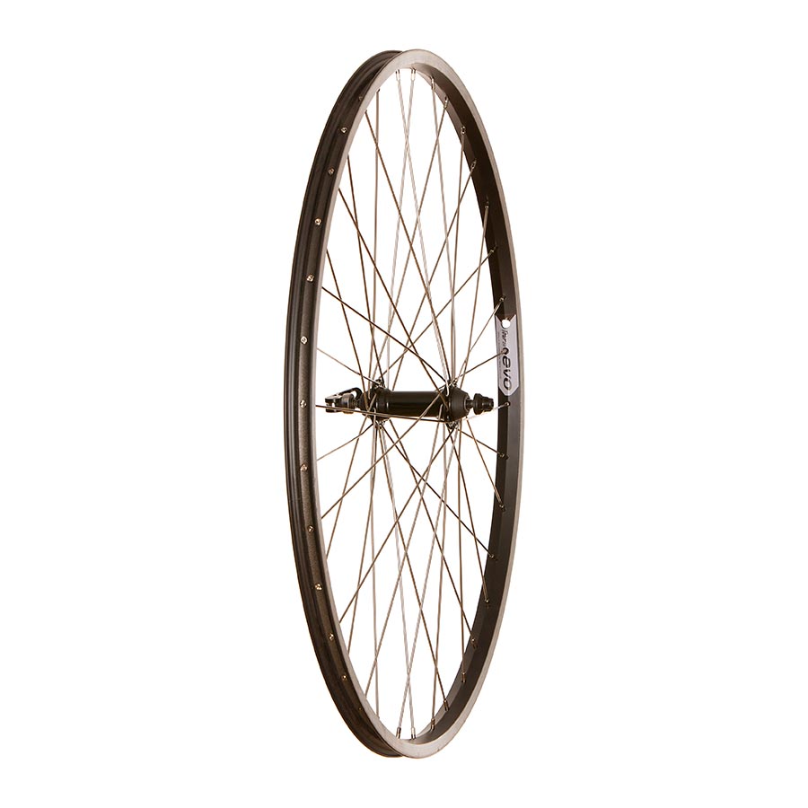 Evo Tour 20 / Wheel
