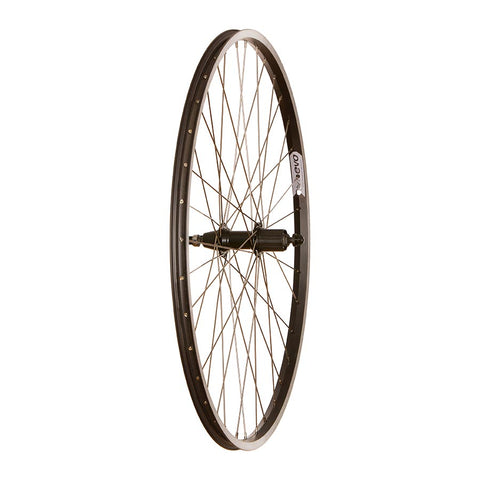 Evo Tour 20 / Wheel