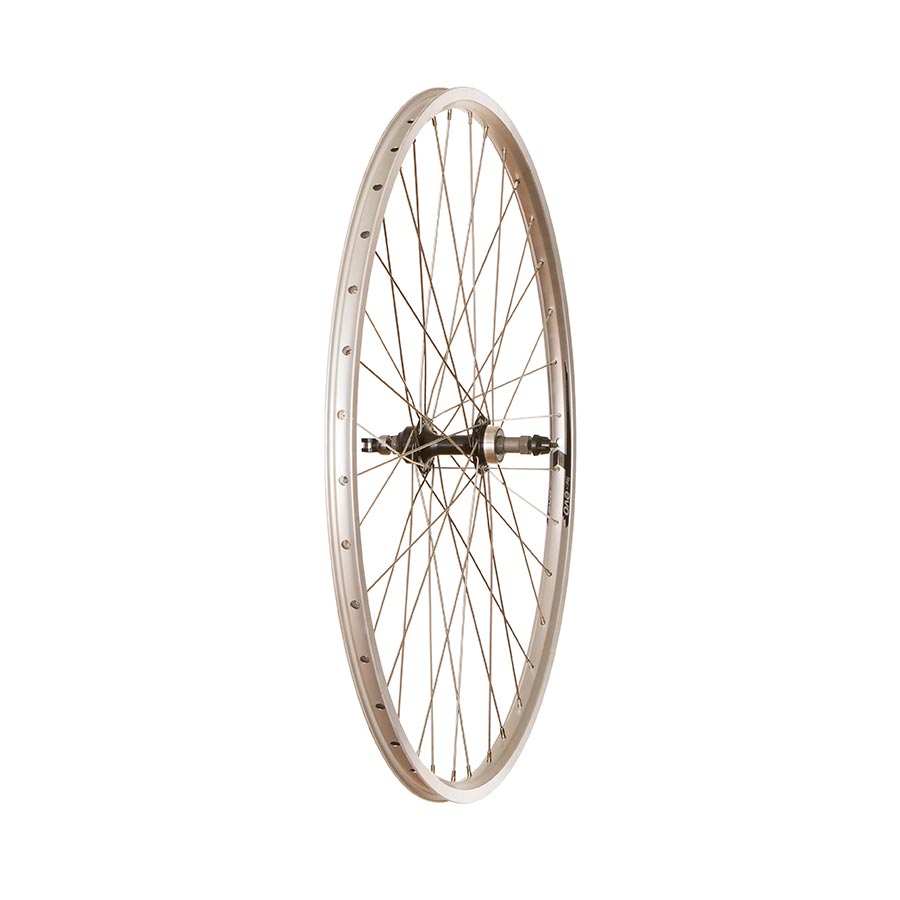 Evo Tour 19 / Wheel