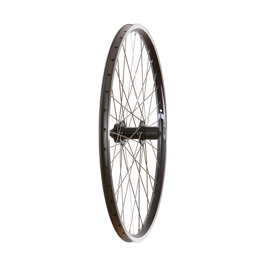4PK Evo Tour19 / Wheel