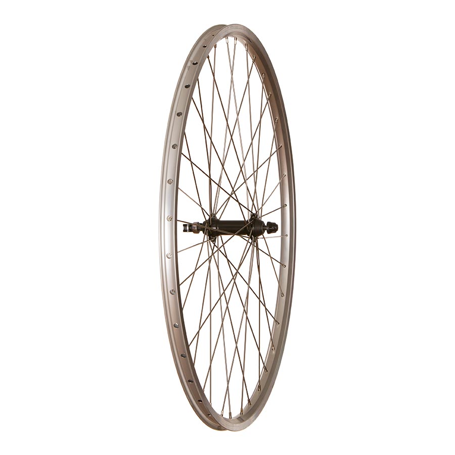 4PK Evo Tour19 / Wheel