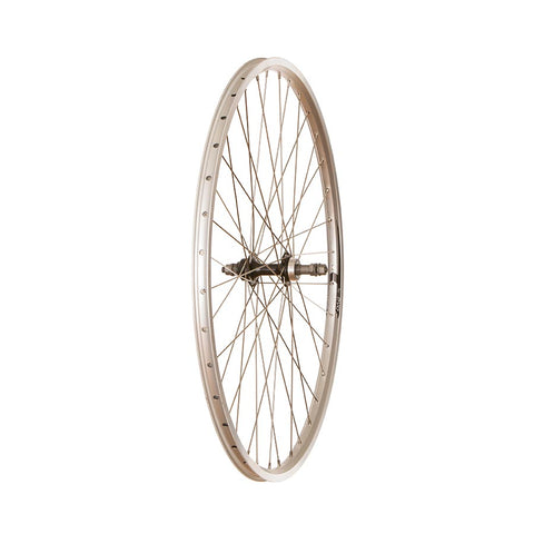 4PK Evo Tour19 / Wheel