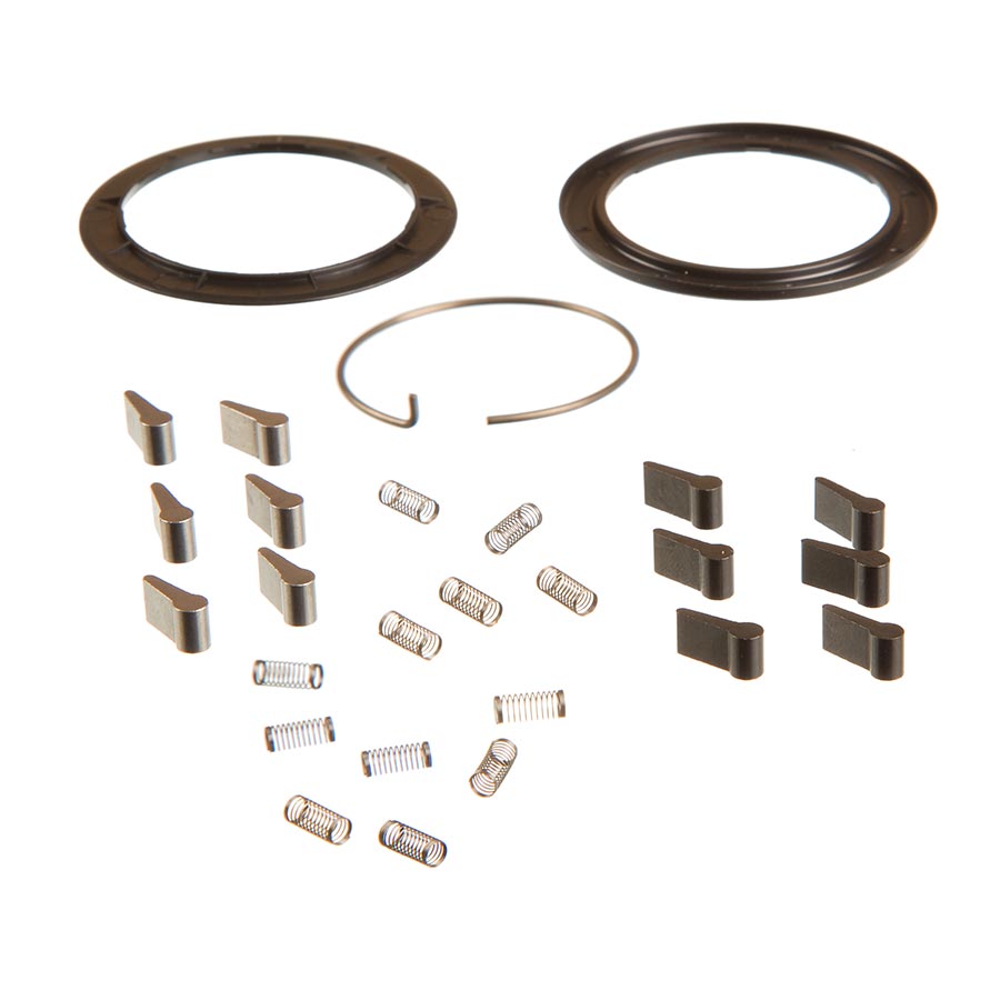 ZM2 Spring and Pawl Set