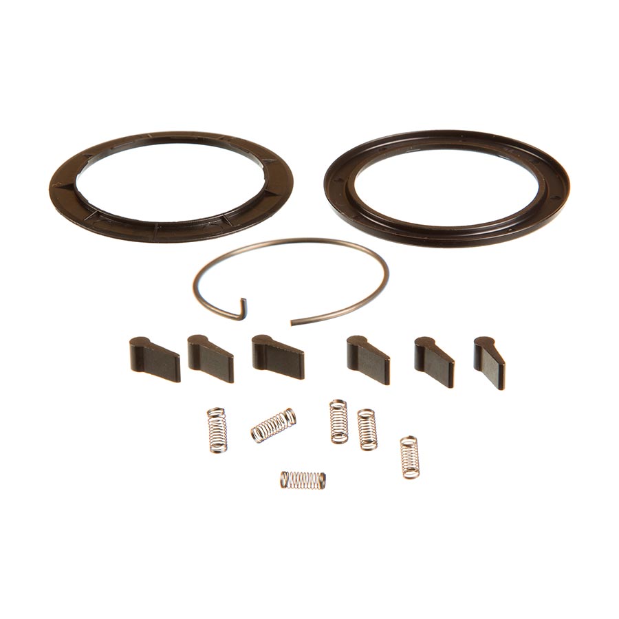 Jeu de ressorts et cliquets ZR1