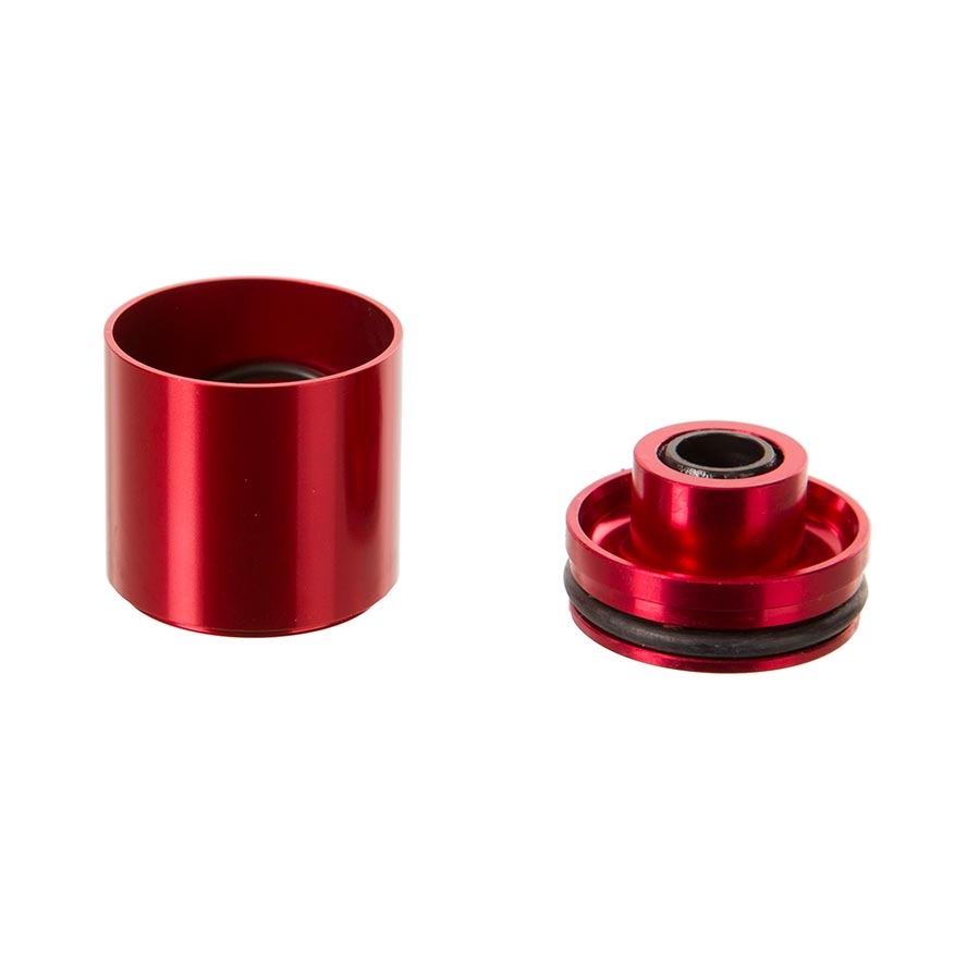 Tête de phoque Lyrik D1