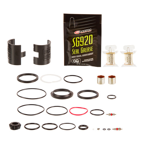 Vivid Gen-D 100h/200h Kit